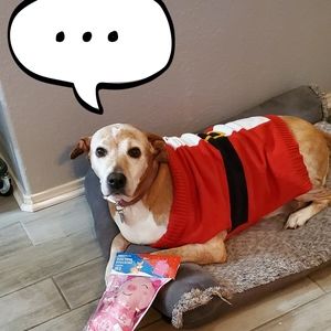 Meet your Posher, Carmen